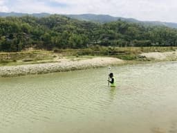 Cross Section Survey